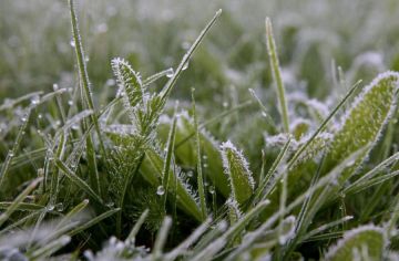 ����� ���������. ������, 28 ������, ����� � ����� ������� � �� -3�� �� ����� � �� -1�� � �������, �������� ��������