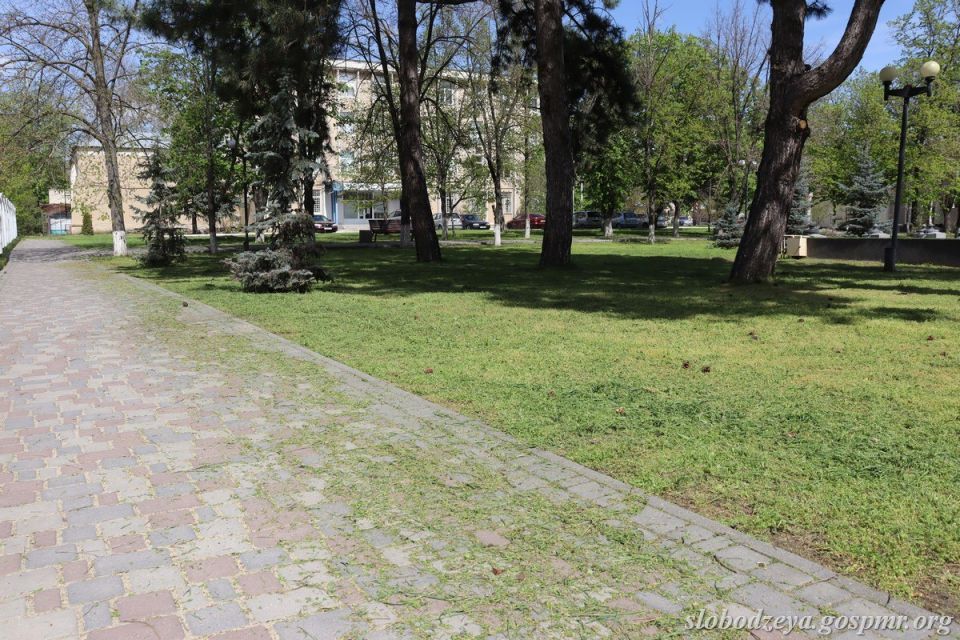 В Слободзее и населённых пунктах района продолжаются работы по покосу травы В Слободзее и населённых пунктах района продолжаются работы по покосу травы