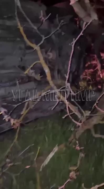 Подробности смертельного ДТП у Малаешт