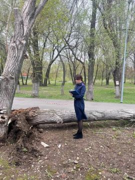 ������ �������� ��������� ������� � ������