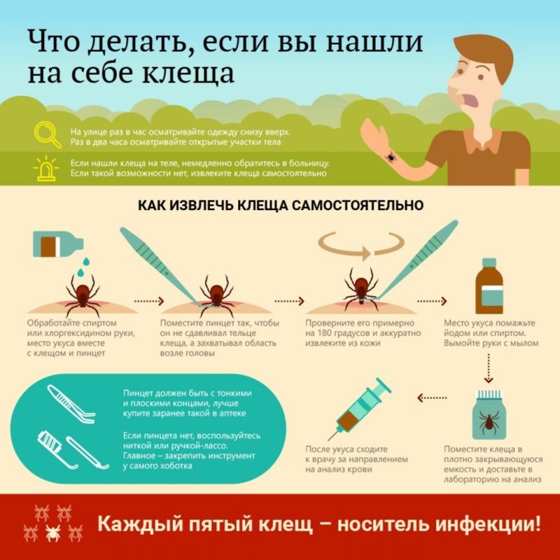 Осторожно: сезон клещей в разгаре! Осторожно: сезон клещей в разгаре!