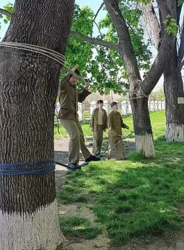 ��������, ������� ������, �������� ����������, ������ ������� ������� � ����������� � � ��������� ����� �8 ������ ��������� ���� ��������������� ������-���������� ���� ����� ������� ������������� � 2026�