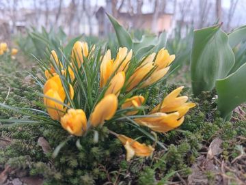 29 ������ ��������� �������� � ������������ ������, ������� ��������������� �����