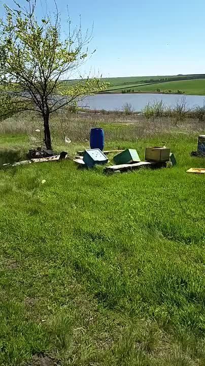 Ветер на выходных разрушил пасеку молдавского пчеловода