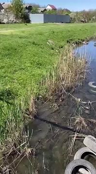 ������ � ���������� ������� �� ����� ������! �����, ������� � ����� �������