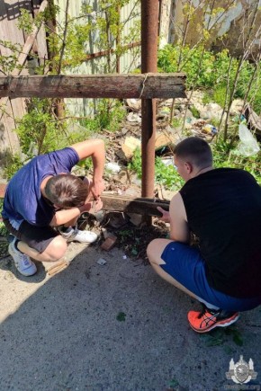 �������� ��� ������ �� ������