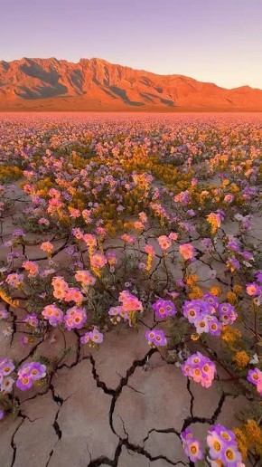 � �������������� ������ ������ ������� �� ����������� ���������� �������������