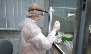 �� ������������������ �������� � ���������� � I �������� 2026 ����