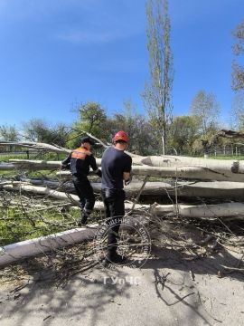 �� ���� ��������� ��������� �������� � ����� �10