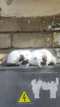 ������ �������: ��� ���������� ��� ����