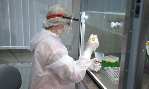 �� ������������������ �������� � ���������� � I �������� 2026 ����