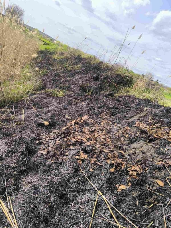 В селе Гиска неподалёку от дачных участков вчера горели кучи мусора, ветки и сухая трава В селе Гиска неподалёку от дачных участков вчера горели кучи мусора, ветки и сухая трава