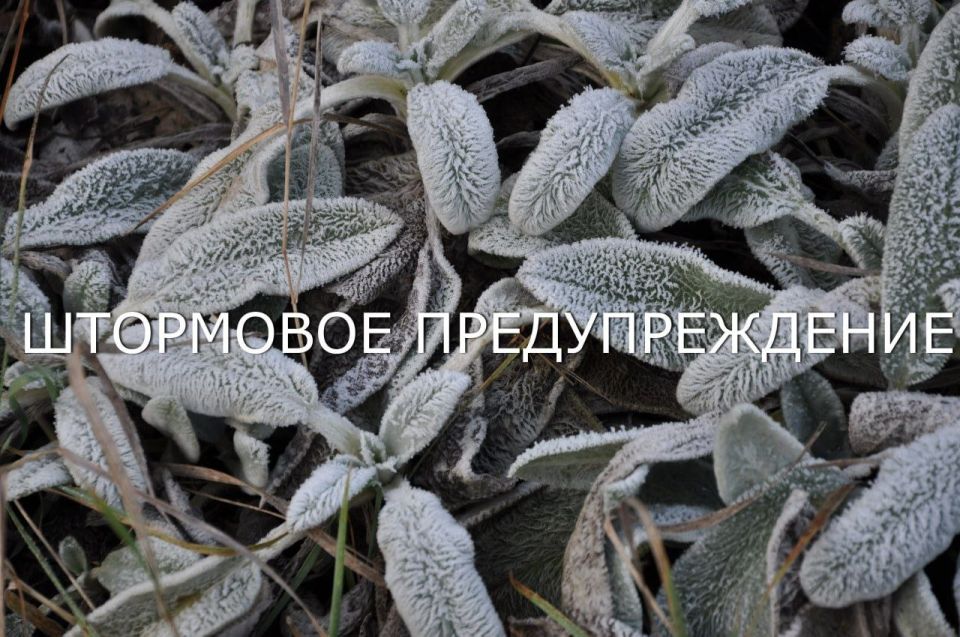 30 апреля на севере республики ночью и утром ожидаются заморозки: на почве до -5°С, в воздухе — до -2°С