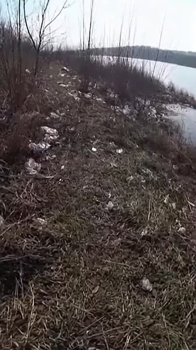 Кучи мусора и масляные пятна на Днестре сняли в Молдове, в Криулянском районе