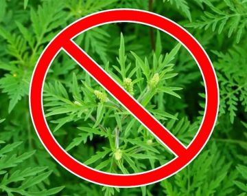 ������ � ��������� � ���� �������!