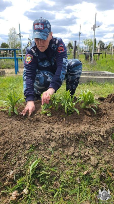 Герои живы, пока жива о них память Герои живы, пока жива о них память