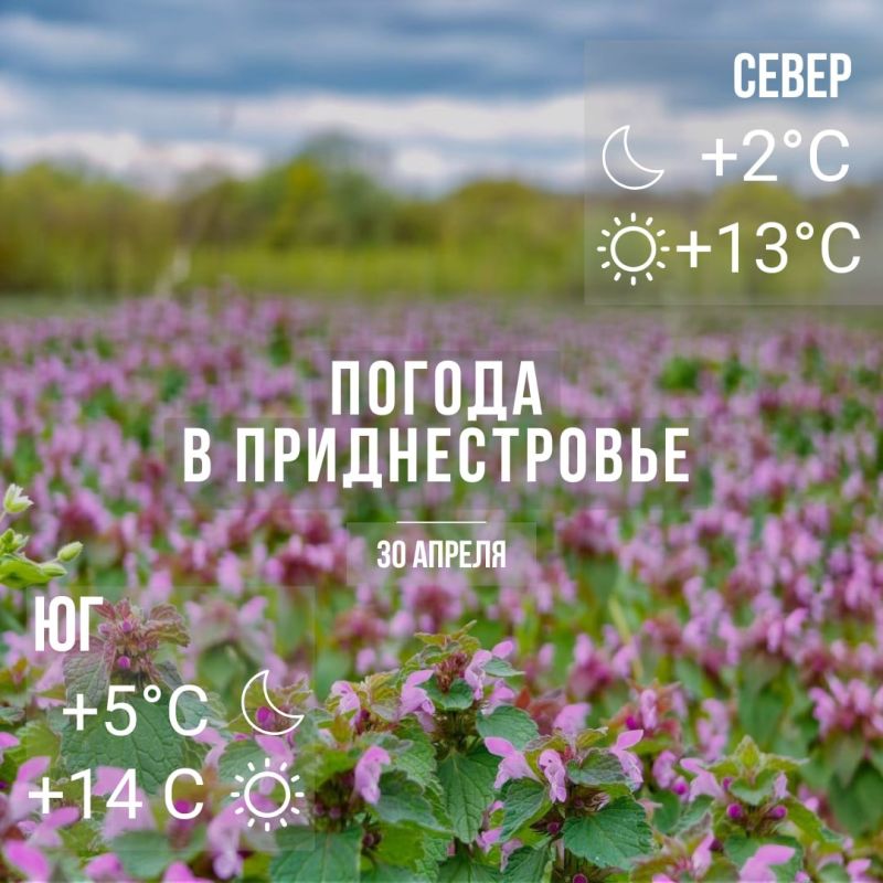 Днём – до +14°С. Облачная погода, без осадков