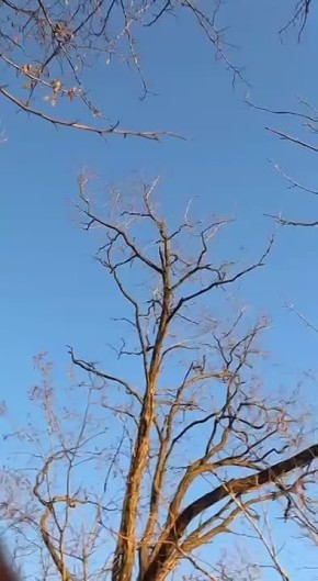 �����. ����� �� ����� ������������ � ����