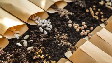 ������ �� ������������� ����� �������� �������� ������ ��� ������ � ��� ����������� �� ������