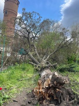 ���������������� ������� ����� � �������� ���� � ��������� ����� �������� ����� � �����������