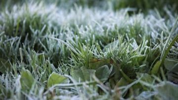 � ���� �� 1 ��� ��������� ���������: � ������� � �� 2 �C, �� ����� � �� 6 �C, �������� ��������������� �������������