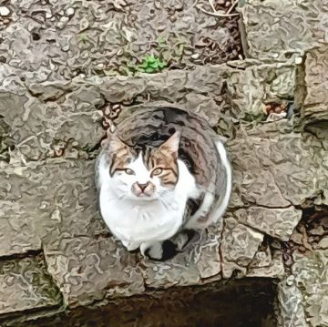 ������ ������ �� �������� ����� ��������� �������������� �������� ��� ������������� ��� � �������� ������ � �������