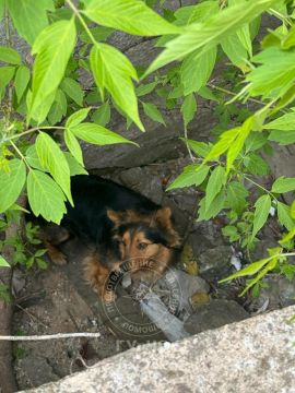 ����� � ���������� ��������� ������ �� ������ ������������� ������� ����� �����