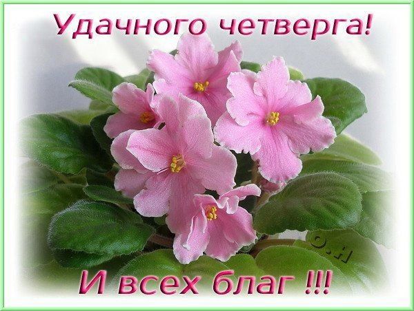 30 апреля - апрель сделал реверанс и скрылся за кулисами