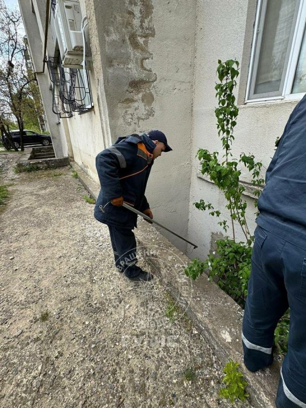 Полувековая вишня, нарушения на дорогах и спасённая собака — сводка ГАИ и ГУпЧС Полувековая вишня, нарушения на дорогах и спасённая собака — сводка ГАИ и ГУпЧС