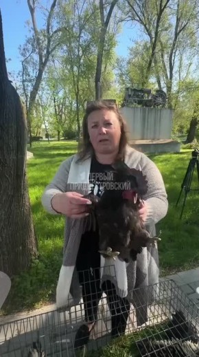 � ����� ������ � �������� � �� �������������