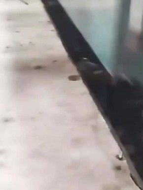 ���� ���� ������, ������� �� ��� ��� �����, � Jagonews24