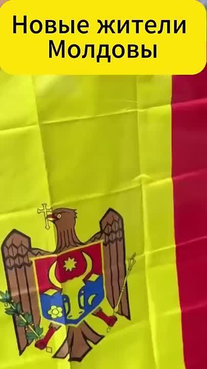 Тем временем в молдавских соцсетях появляется всё больше роликов с «новыми жителями Молдовы»