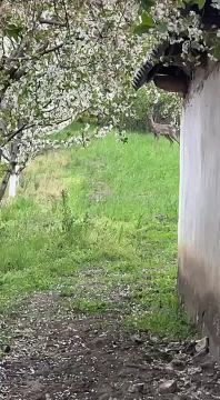 ��������� � ������� � ��������������� ������