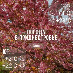���� � �� +23��, ��� �������