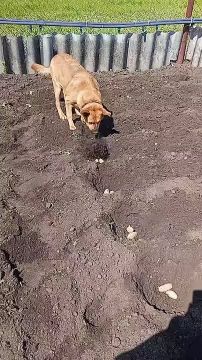 ϸ� ���� ������� ��������, ����� ���� ��� �� ������� ��������� ������
