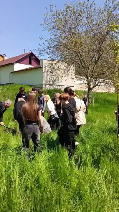 Бендерские школьники после уроков сажают деревья в парке Дружбы народов