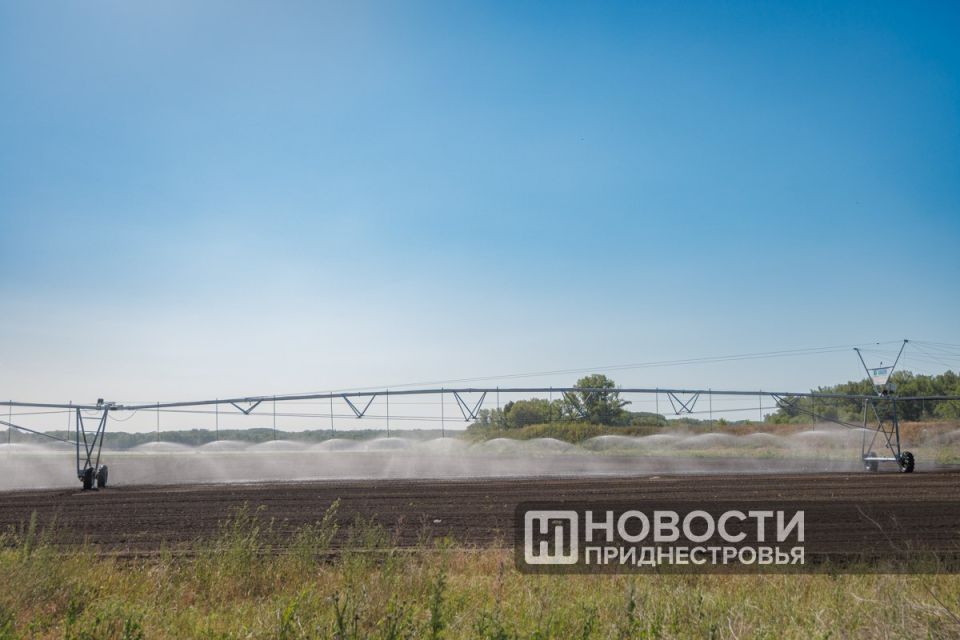 Напомним: под орошением в Приднестровье сегодня находятся уже 40 тысяч гектаров сельхозземель
