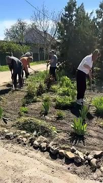 � ��������� ������� ������ ����� ������ ����� ����������