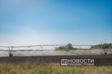 ��������: ��� ��������� � ������������� ������� ��������� ��� 40 ����� �������� �������������