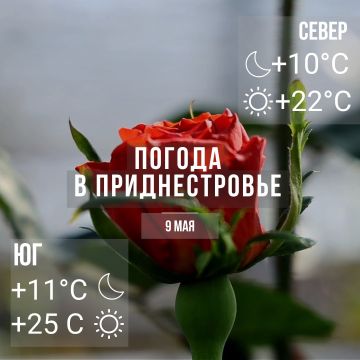 ����� ������� �����. ���� � �� +25��, ������� �����