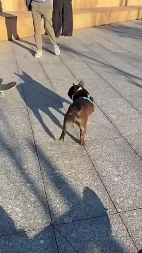 ������ ������ ���������, � ������ ������� �������� ��� �������
