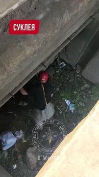 � ���� ������ ������ ������� �� �������� ������������ � ������ �������� ����������, ����� ������ ������� ����� �������
