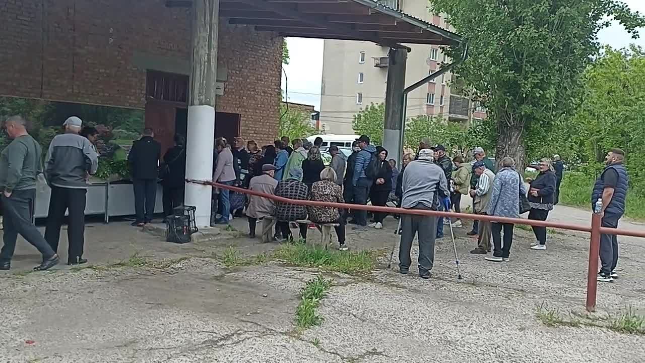 Очередь выстроилась за рассадой в НИИ