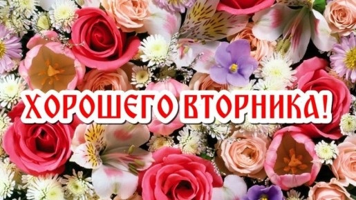 12 ��� - �������� ���� ����� � �� �������� ���