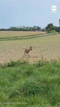 � ����������� ��������� �������� �������� � ������� �������:
