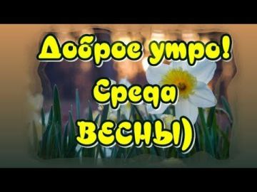 13 ��� - ������� ���� ���������� � ��������� �����