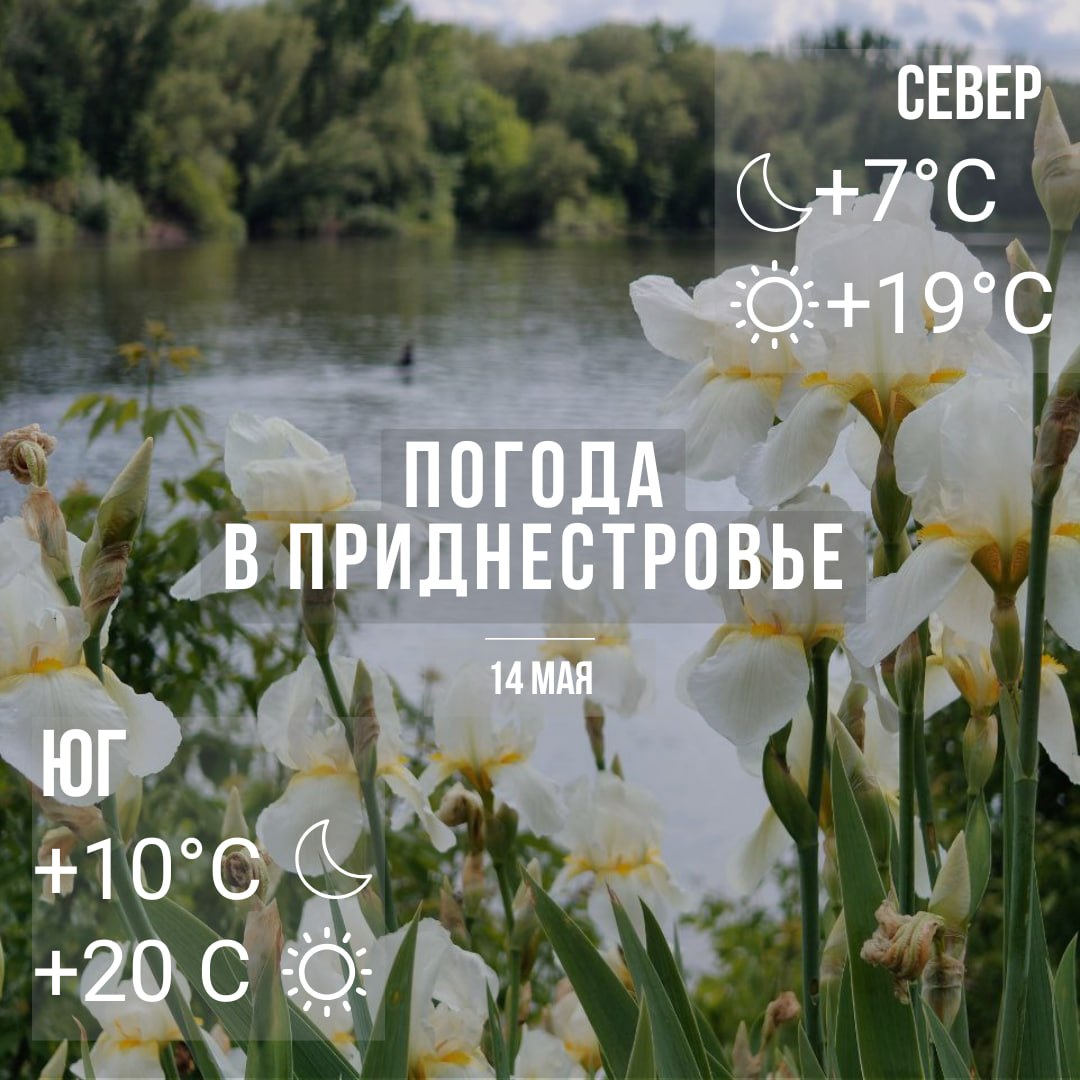 Днём – до +20°С, без осадков