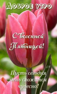 15 ��� � ��������� ������� � ��� �����������
