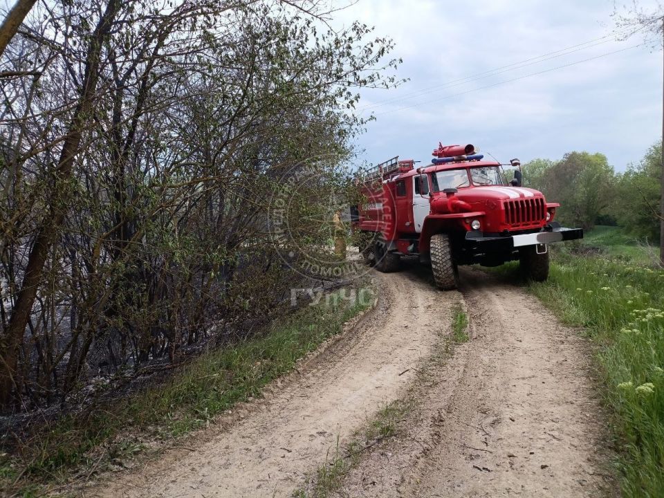 В Рыбницком районе между сёлами Андреевка и Колбасна сегодня горел камыш В Рыбницком районе между сёлами Андреевка и Колбасна сегодня горел камыш