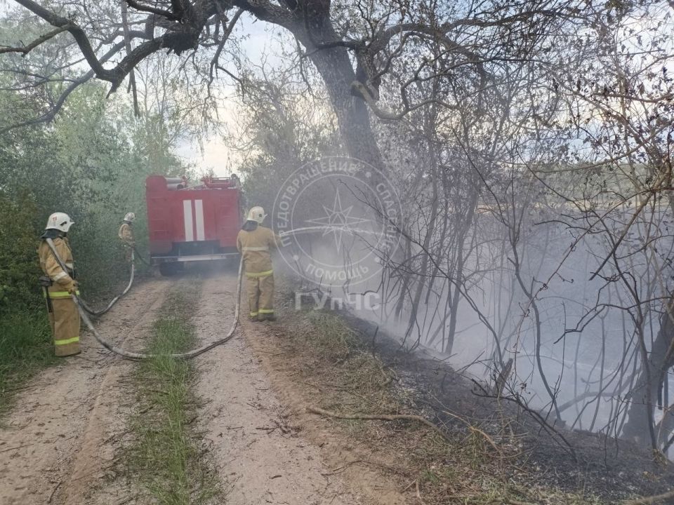 В Рыбницком районе между сёлами Андреевка и Колбасна сегодня горел камыш В Рыбницком районе между сёлами Андреевка и Колбасна сегодня горел камыш